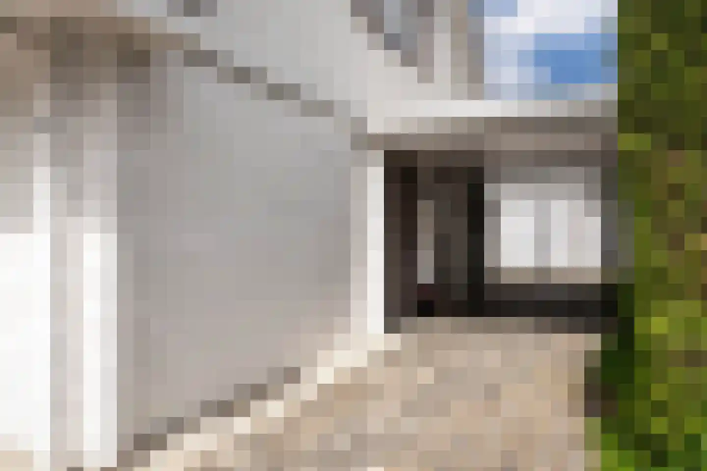 Zaaiviool 11 Berghem thumbnail 36