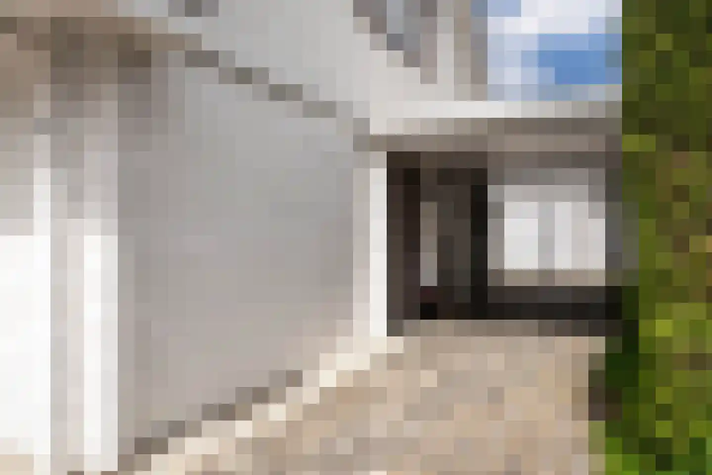 Zaaiviool 11 Berghem thumbnail 36