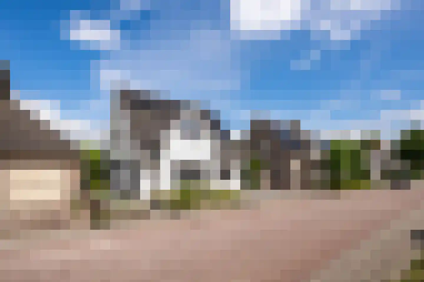 Zaaiviool 11 Berghem thumbnail 37