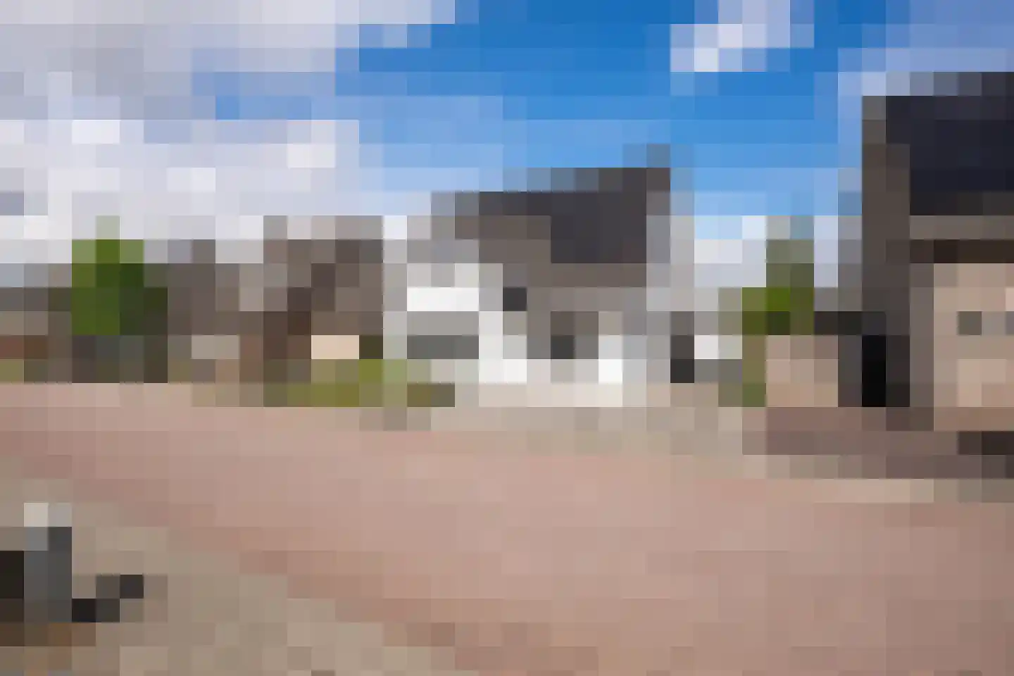 Zaaiviool 11 Berghem thumbnail 5