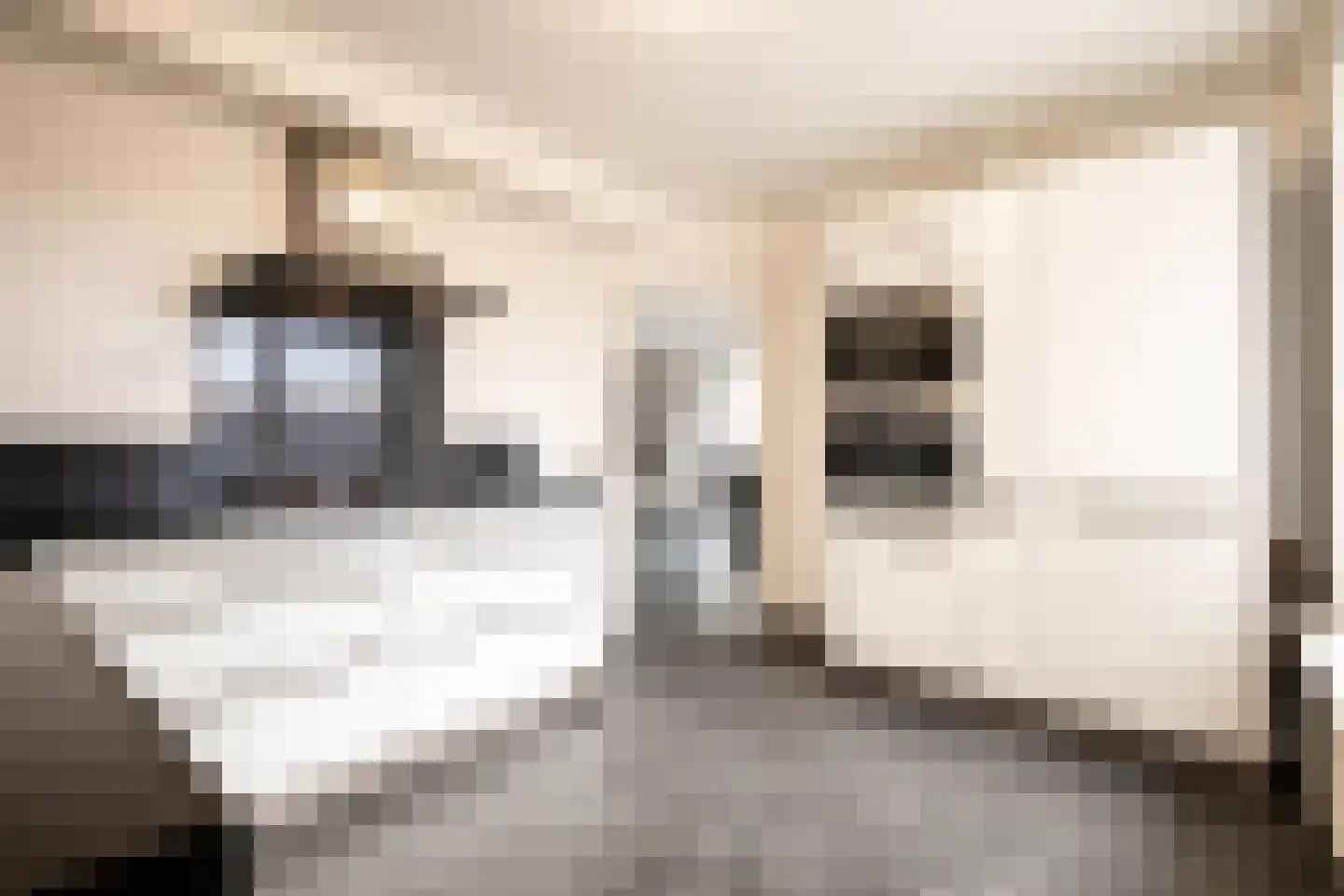 Zaaiviool 24 Berghem thumbnail 11