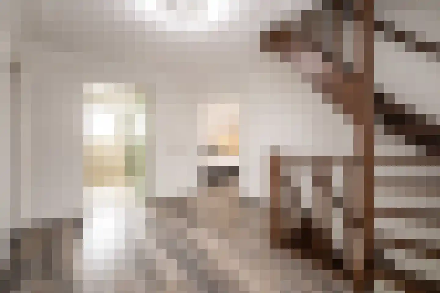 Zaaiviool 24 Berghem thumbnail 15