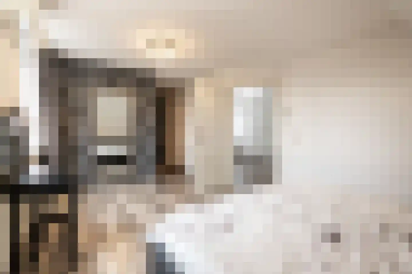 Zaaiviool 24 Berghem thumbnail 17