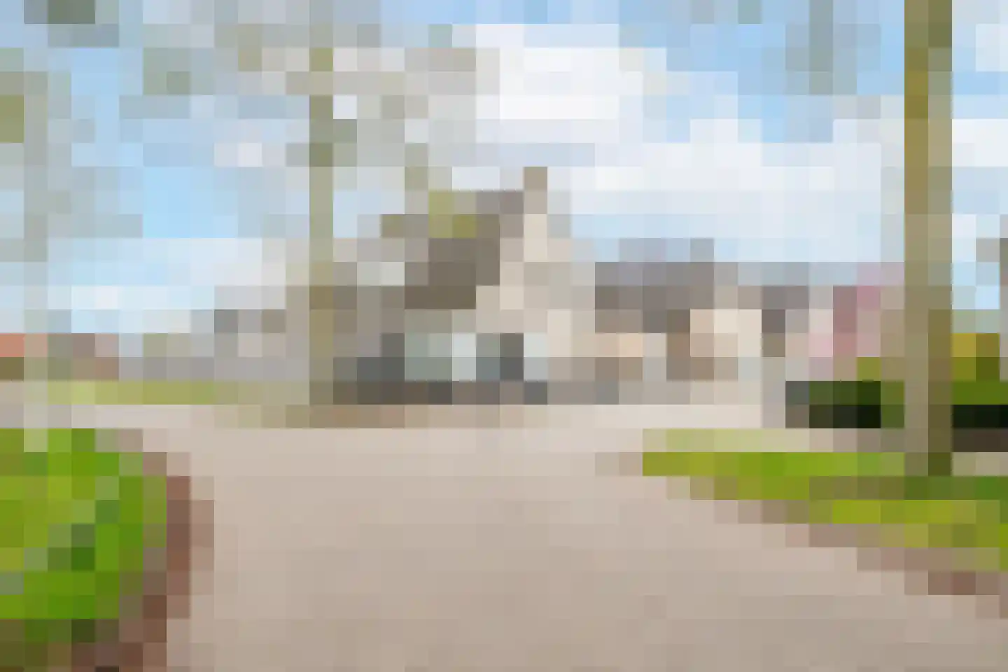 Zaaiviool 24 Berghem thumbnail 30