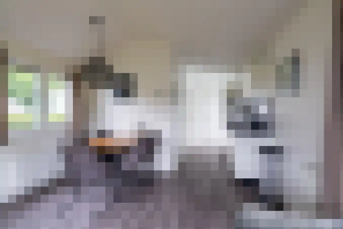 Zaaiwaard 3 121 Aalst thumbnail 5