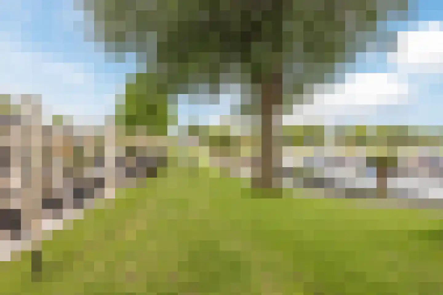 Zaaiwaard 3 47 Aalst thumbnail 18