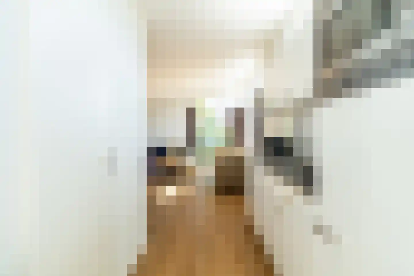 Zaaiwaard 3 47 Aalst thumbnail 5