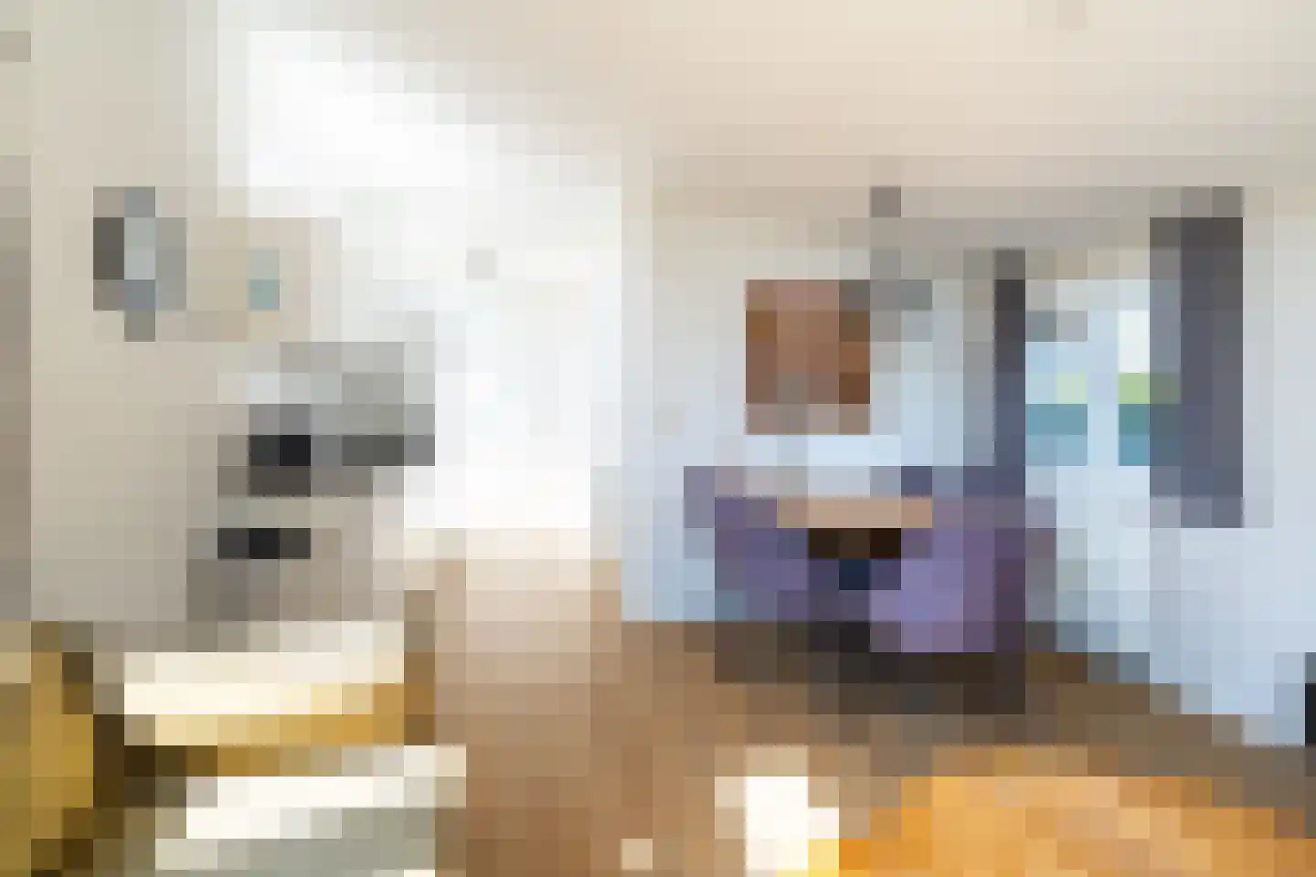 Zaaiwaard 3 47 Aalst thumbnail 7