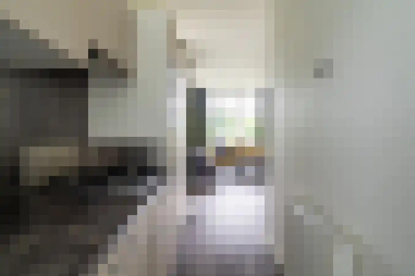 Zaaiwaard 3 a 129 Aalst thumbnail 11