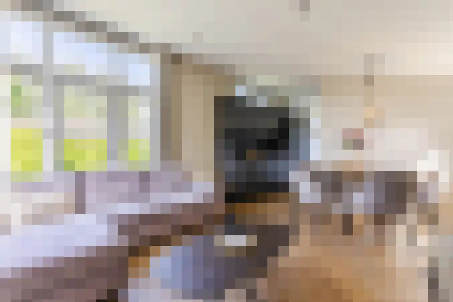 Zaaiwaard 3 a 129 Aalst thumbnail 5