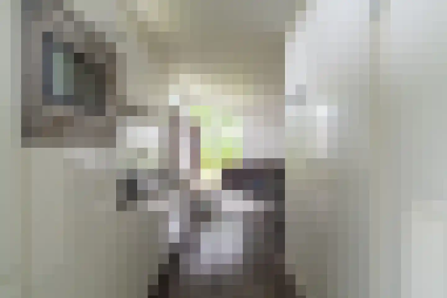 Zaaiwaard 3 a 129 Aalst thumbnail 7