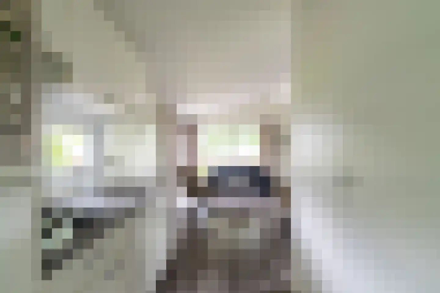 Zaaiwaard 3 a 129 Aalst thumbnail 8