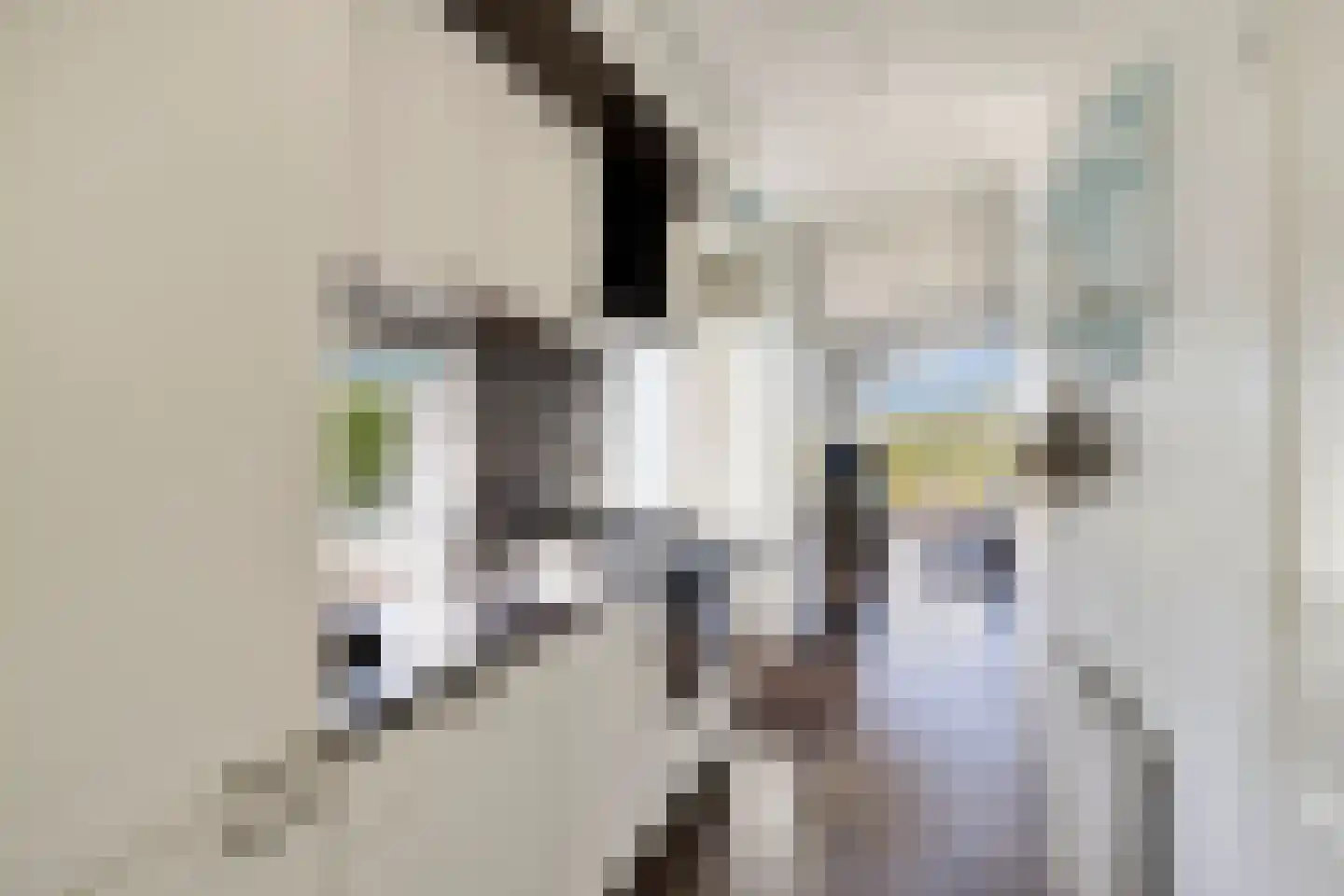 Zaaiwaard 3 a 140 Aalst thumbnail 14