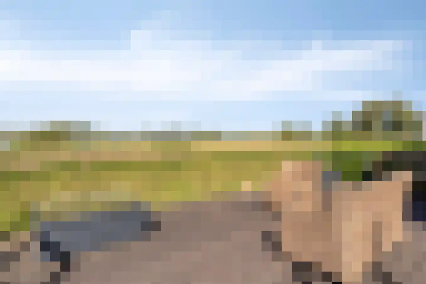 Zaaiwaard 3 a 140 Aalst thumbnail 23