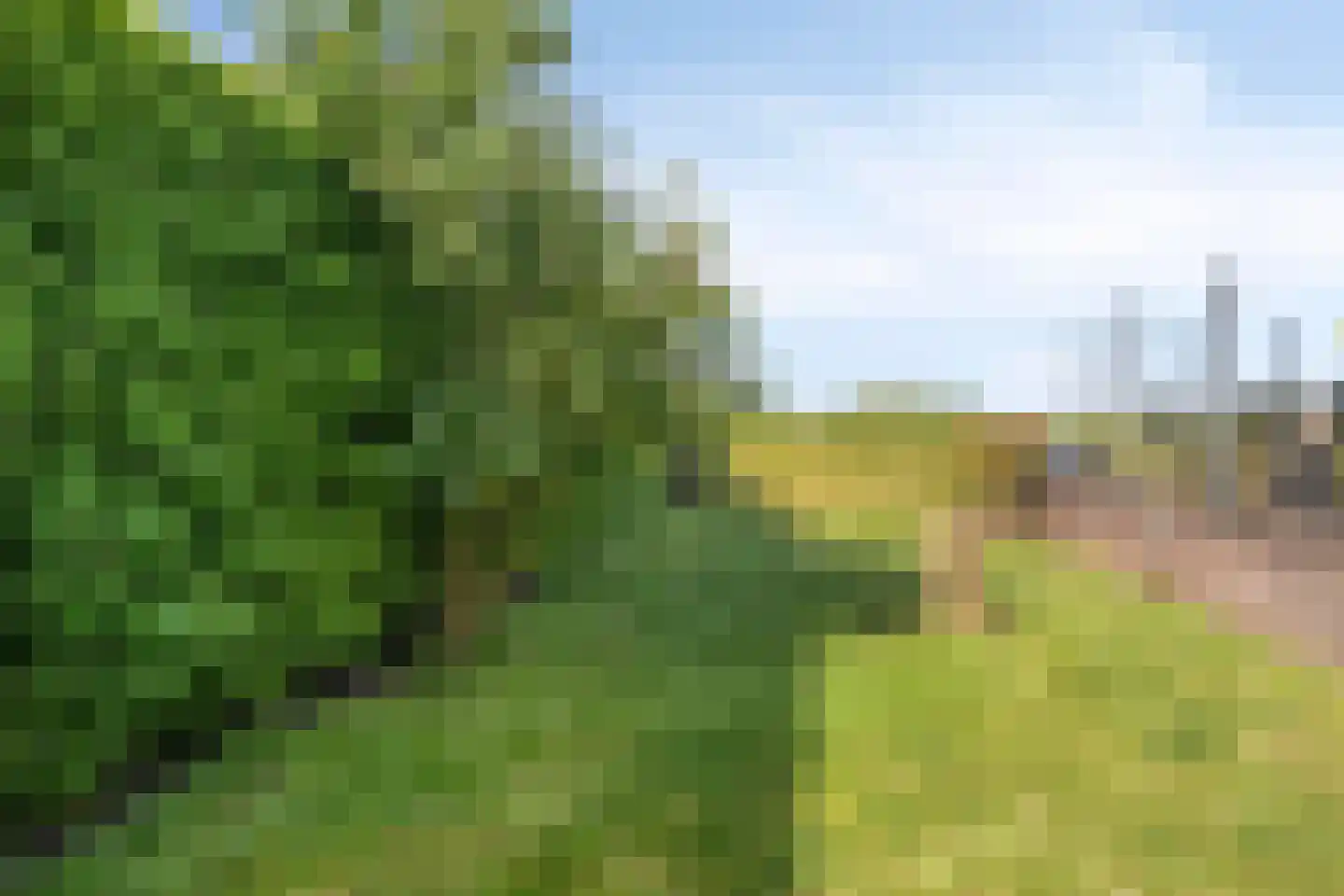 Zaaiwaard 3 a 140 Aalst thumbnail 31