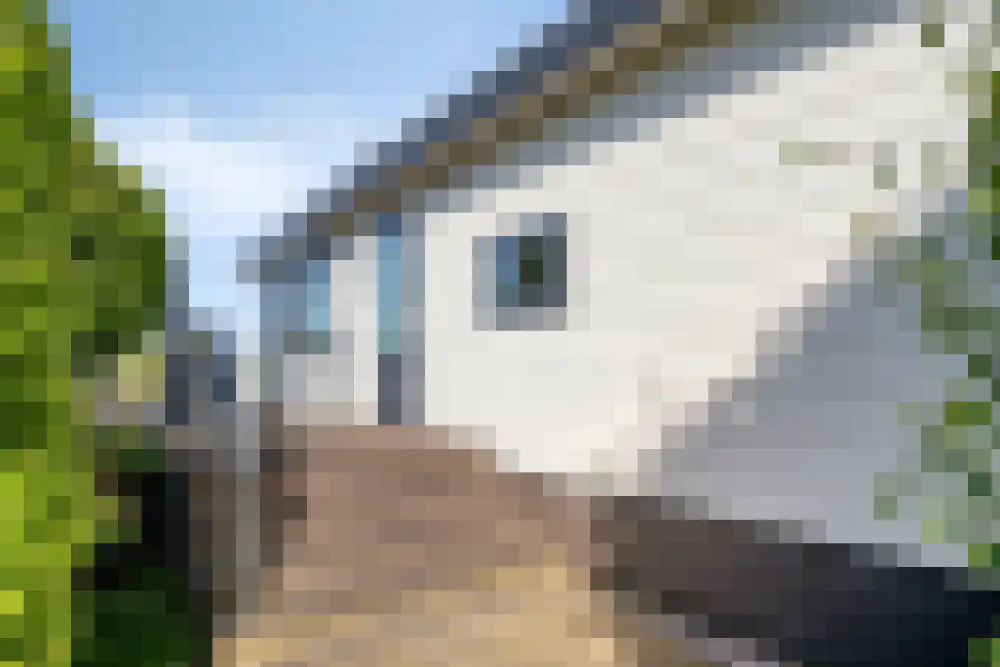Zaaiwaard 3 a 140 Aalst thumbnail 5