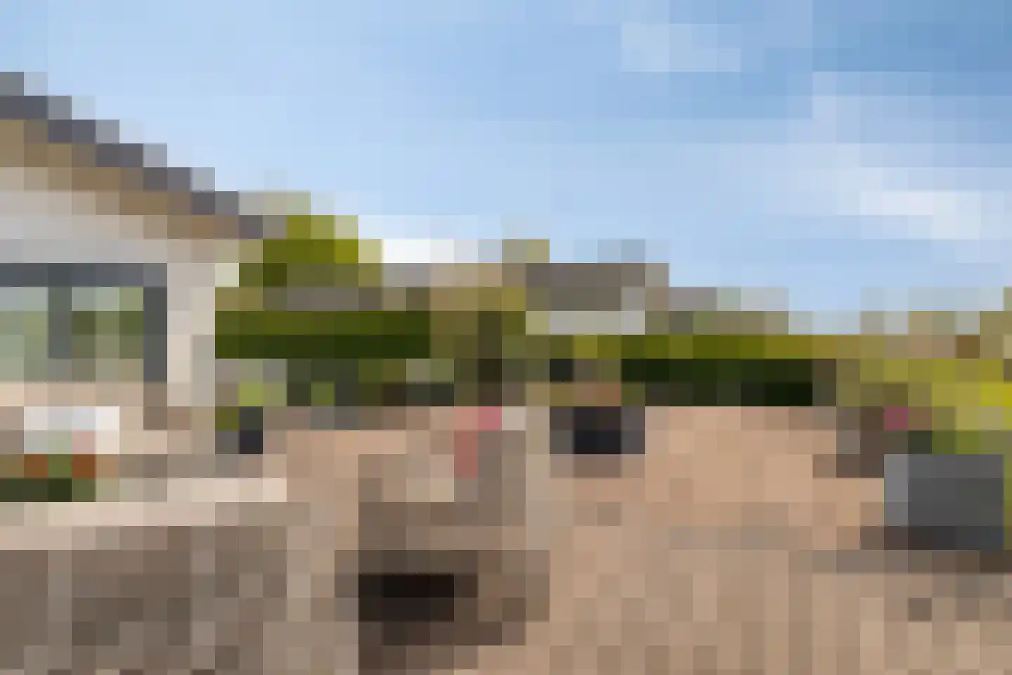 Zaaiwaard 3 a 142 Aalst thumbnail 26