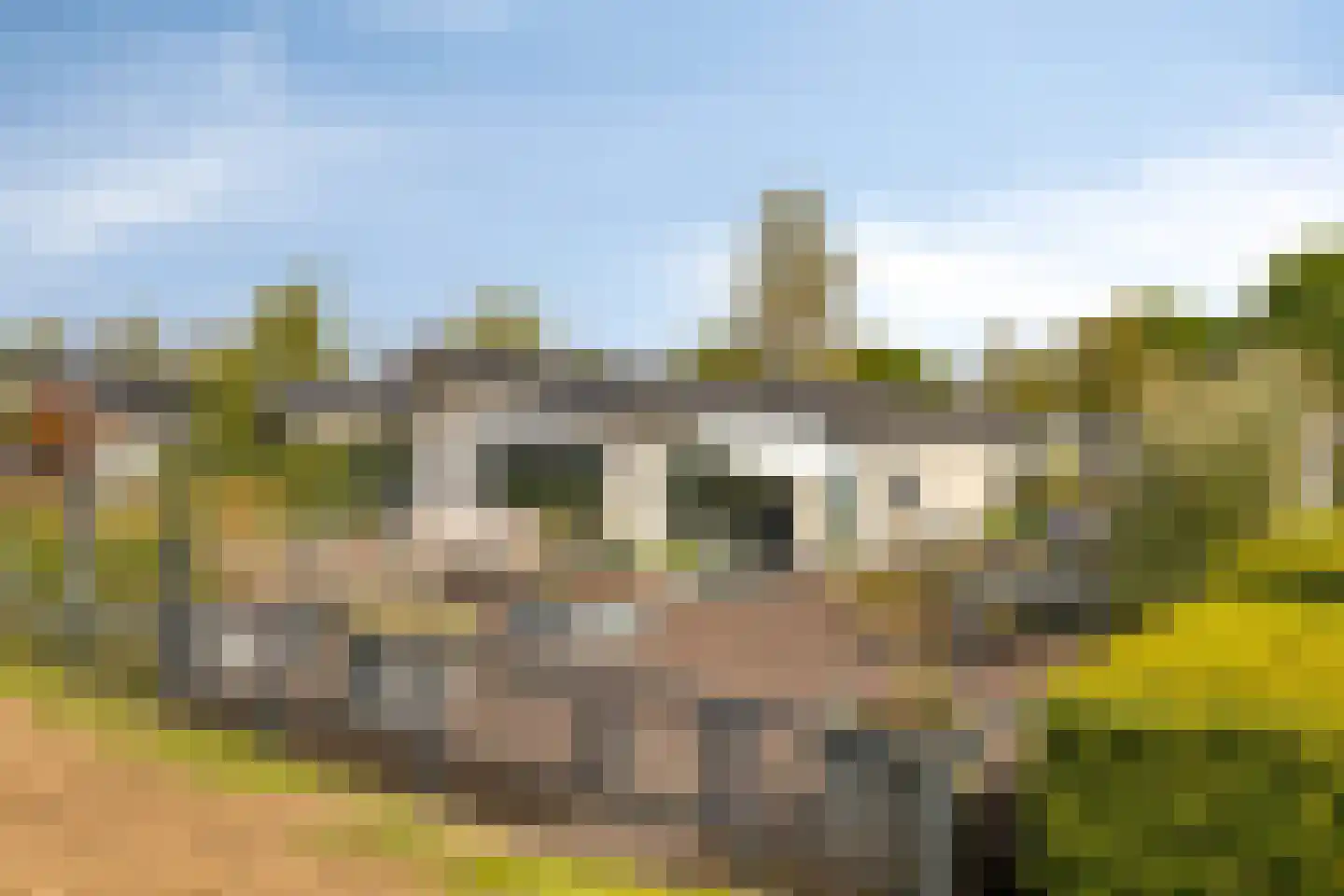 Zaaiwaard 3 a 142 Aalst thumbnail 5
