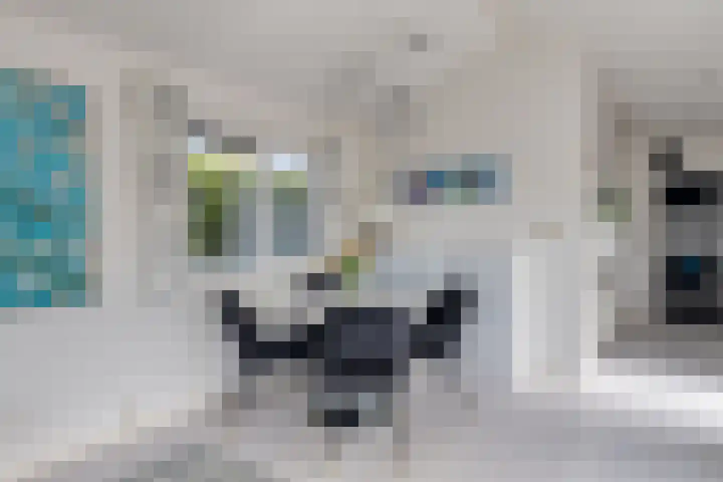 Zaaiwaard 3 a 142 Aalst thumbnail 9