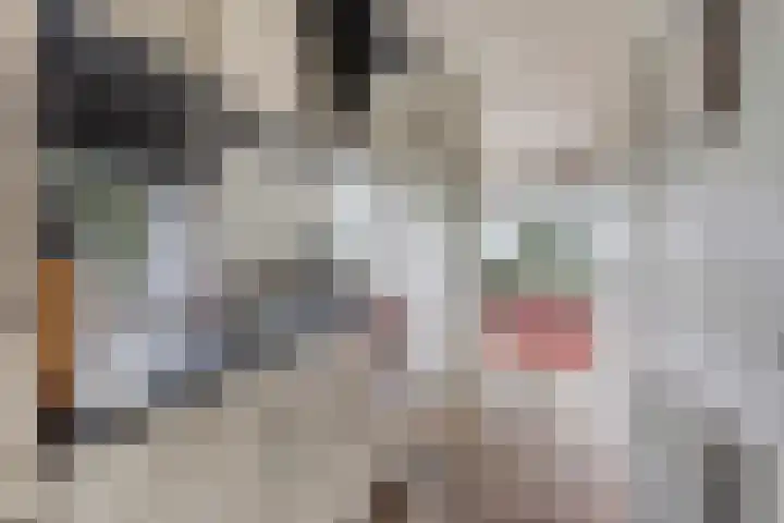 Zaaiwaard 3 a 16 Aalst thumbnail 10
