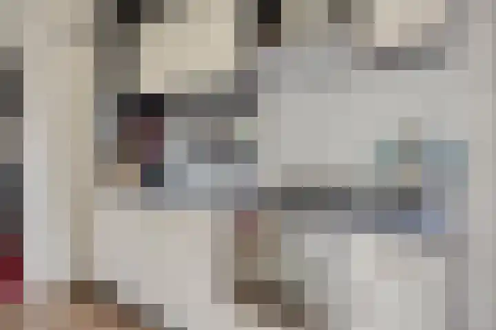 Zaaiwaard 3 a 16 Aalst thumbnail 11