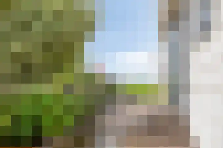 Zaaiwaard 3 a 16 Aalst thumbnail 15