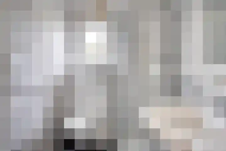 Zaaiwaard 3 a 16 Aalst thumbnail 16