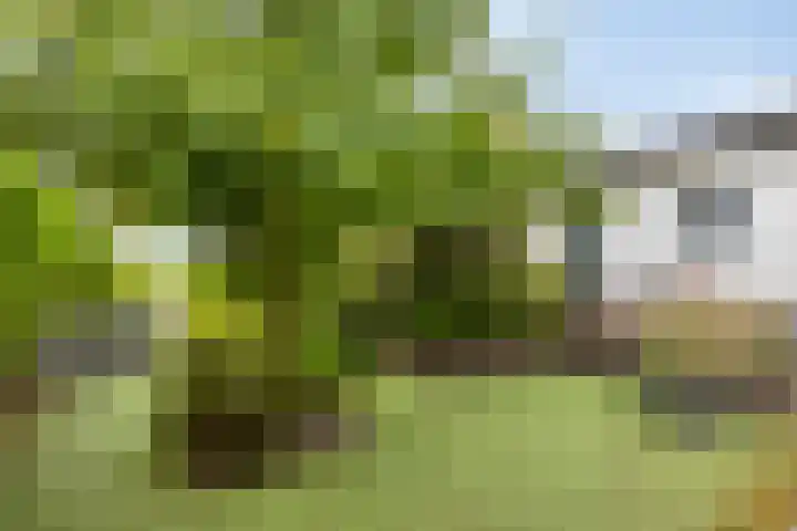 Zaaiwaard 3 a 16 Aalst thumbnail 19