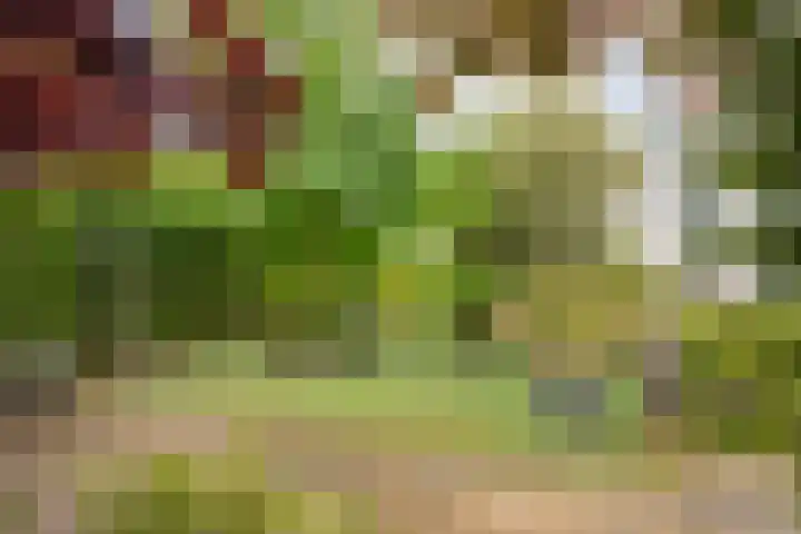 Zaaiwaard 3 a 16 Aalst thumbnail 20