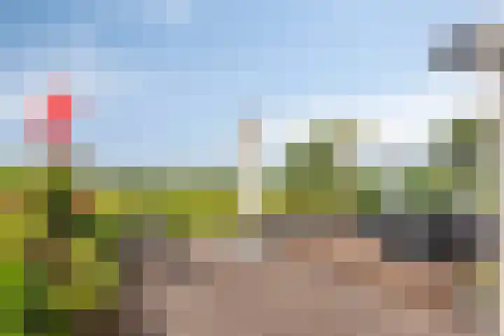 Zaaiwaard 3 a 16 Aalst thumbnail 22