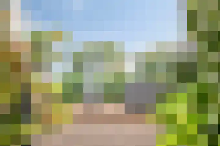 Zaaiwaard 3 a 16 Aalst thumbnail 23