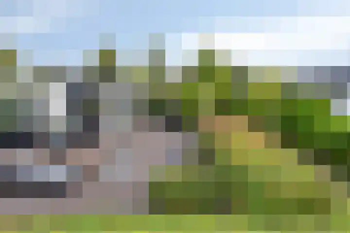 Zaaiwaard 3 a 16 Aalst thumbnail 24