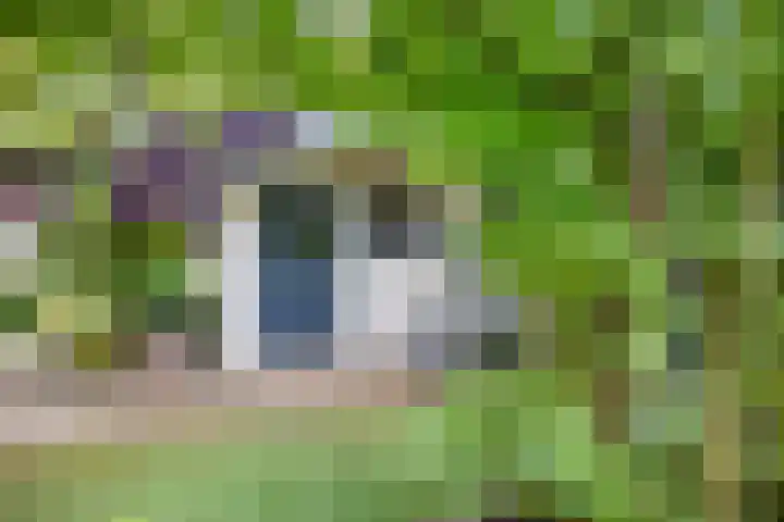 Zaaiwaard 3 a 16 Aalst thumbnail 26