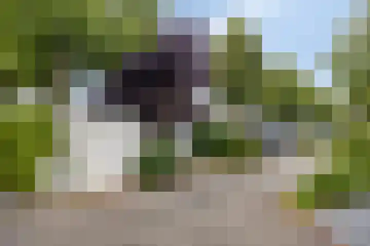 Zaaiwaard 3 a 16 Aalst thumbnail 30
