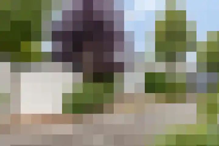 Zaaiwaard 3 a 16 Aalst thumbnail 31