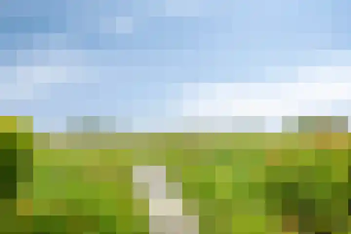 Zaaiwaard 3 a 16 Aalst thumbnail 32