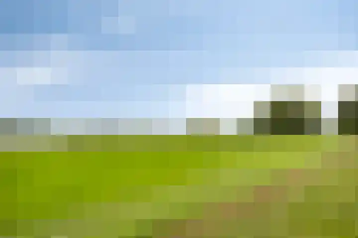 Zaaiwaard 3 a 16 Aalst thumbnail 33