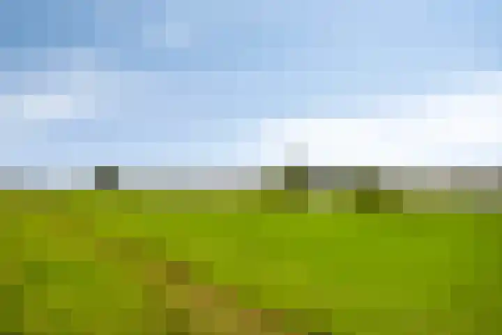 Zaaiwaard 3 a 16 Aalst thumbnail 34