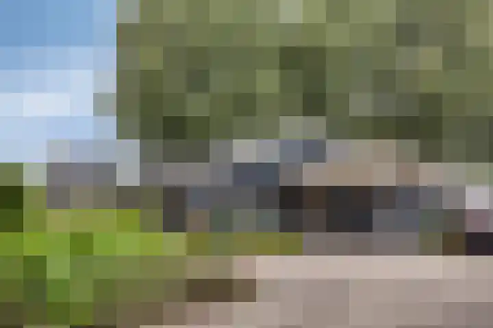 Zaaiwaard 3 a 16 Aalst thumbnail 35