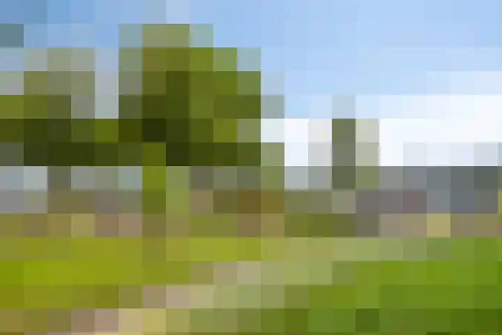 Zaaiwaard 3 a 16 Aalst thumbnail 37