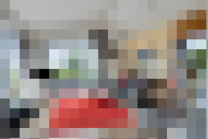 Zaaiwaard 3 a 16 Aalst thumbnail 4