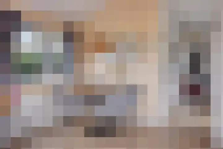 Zaaiwaard 3 a 16 Aalst thumbnail 7