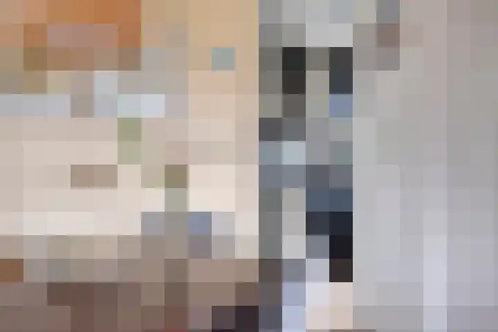 Zaaiwaard 3 a 16 Aalst thumbnail 8