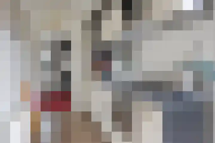 Zaaiwaard 3 a 16 Aalst thumbnail 9