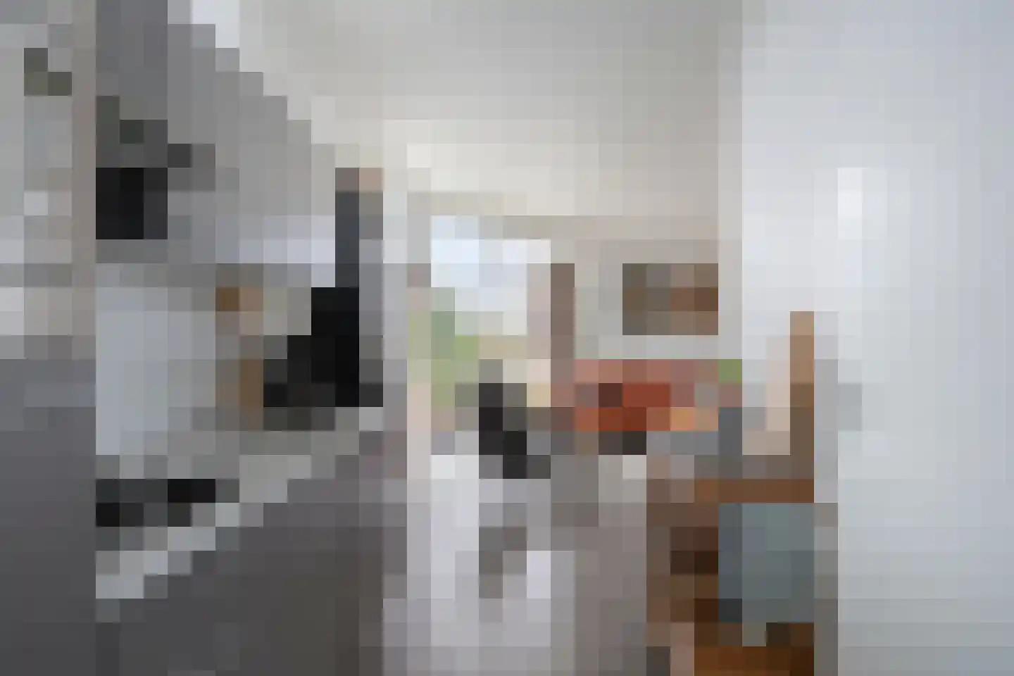 Zaaiwaard 3 a 32 Aalst thumbnail 16