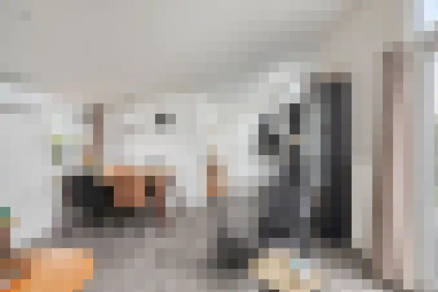 Zaaiwaard 3 a 32 Aalst thumbnail 17