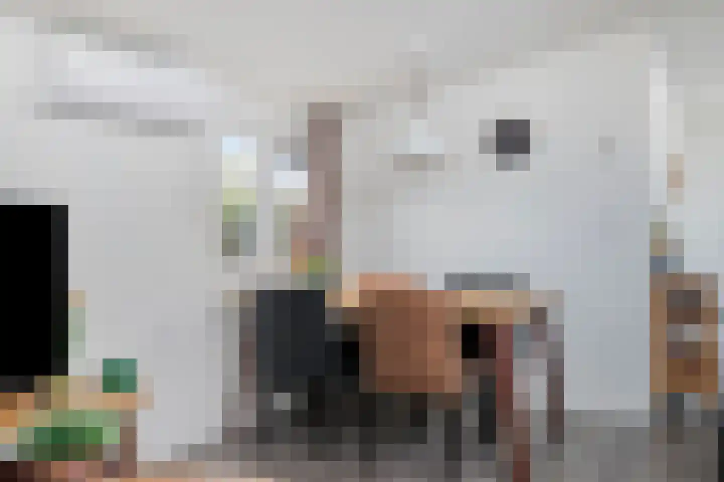 Zaaiwaard 3 a 32 Aalst thumbnail 18