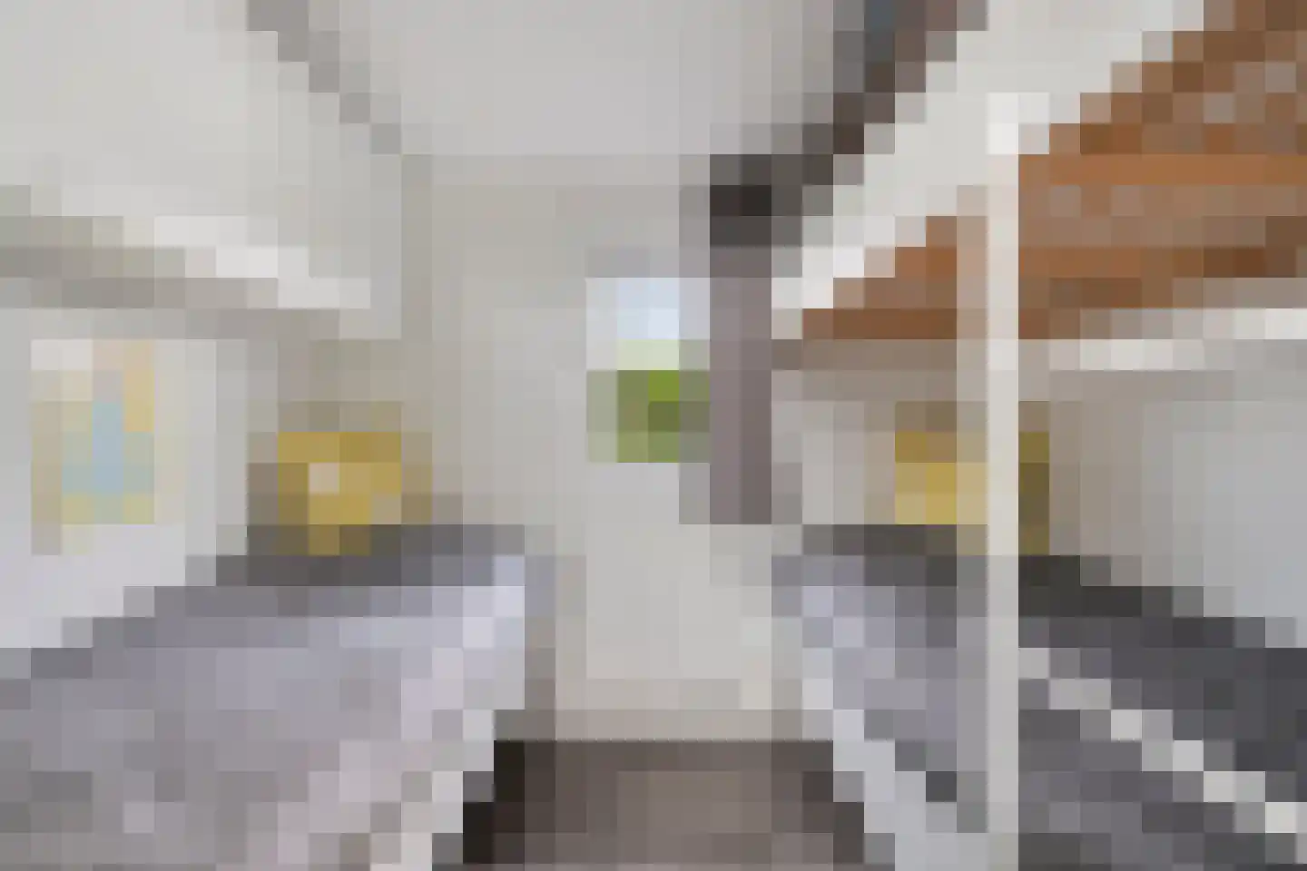 Zaaiwaard 3 a 32 Aalst thumbnail 24