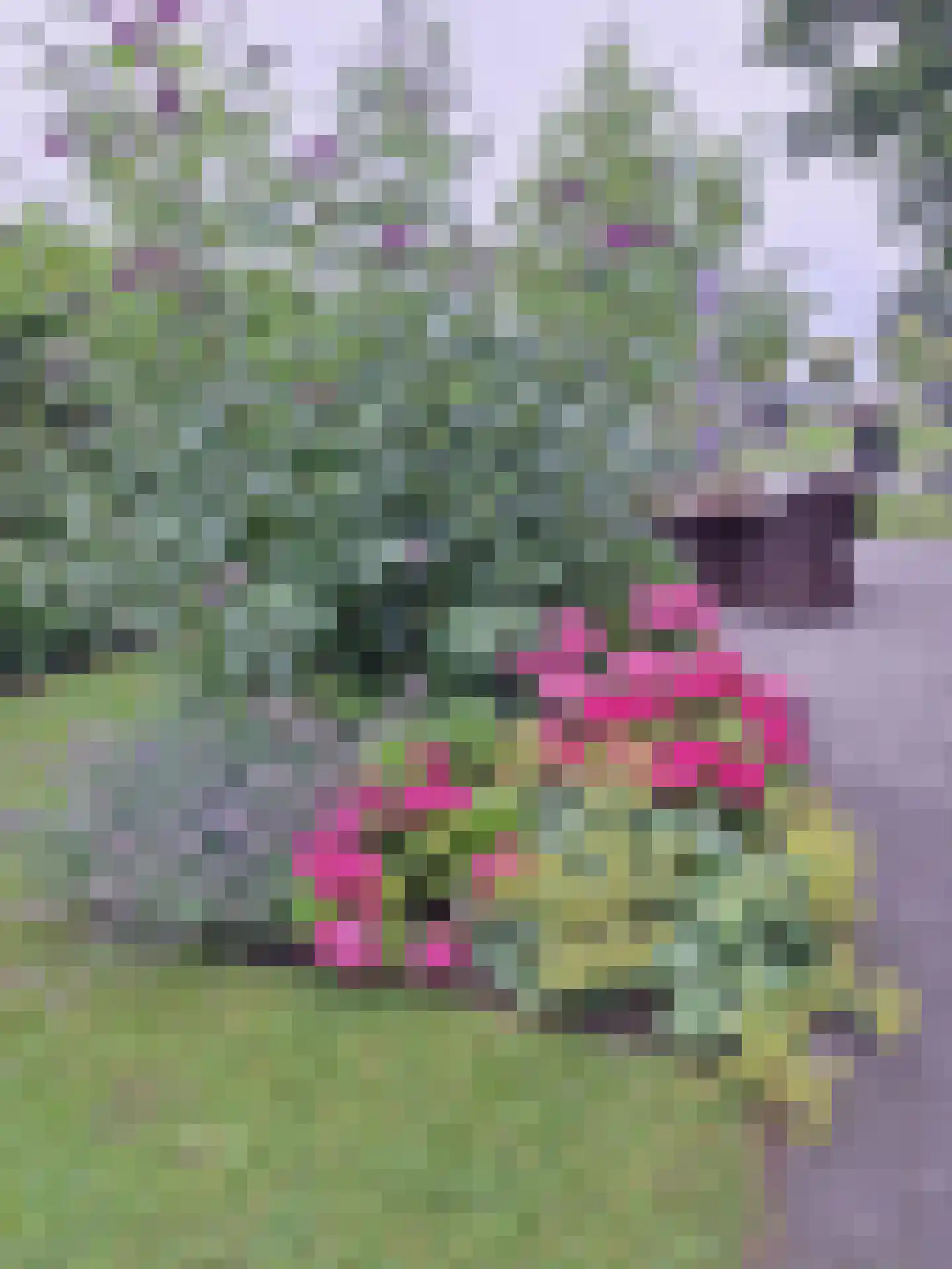 Zaaiwaard 3 a 32 Aalst thumbnail 5
