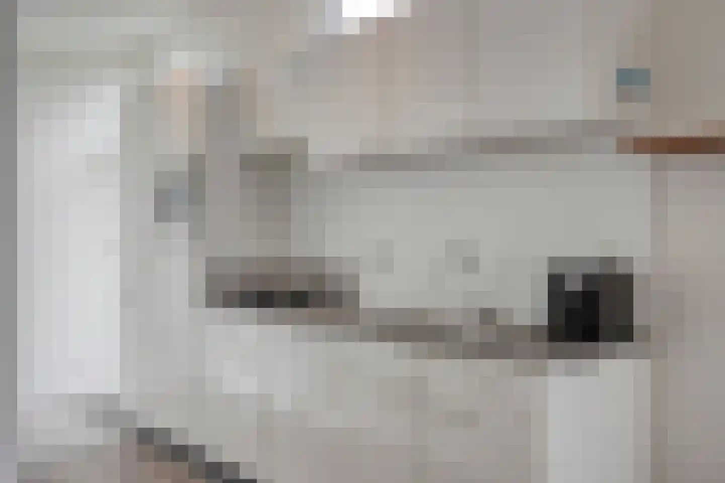 Zaaiwaard 3 a 44 Aalst thumbnail 10
